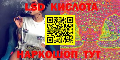 СК Кимры