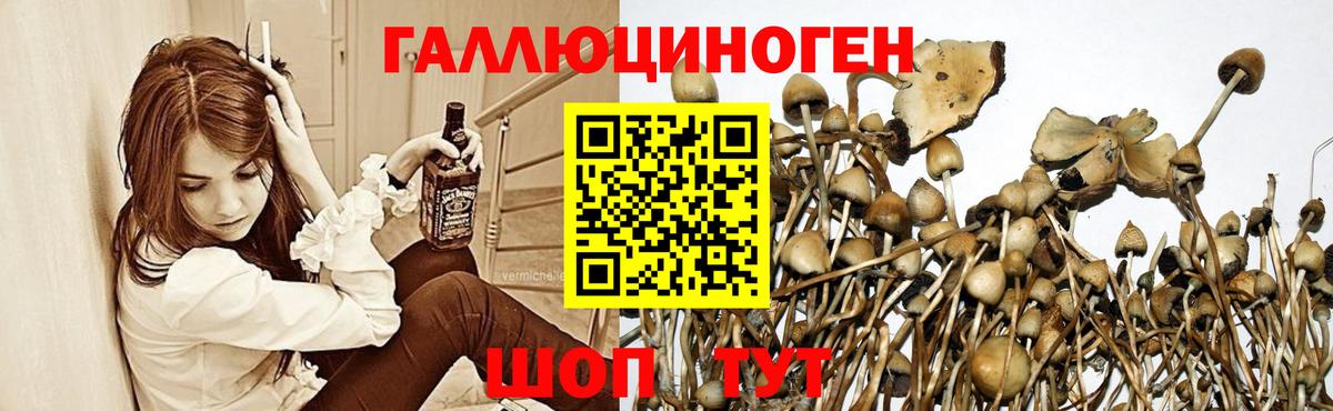 Галлюциногенные грибы GOLDEN TEACHER Красноуфимск